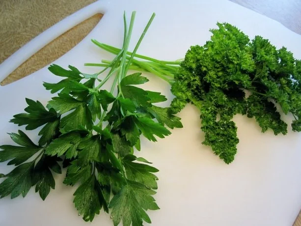 Maronen-Röhrlinge ... - Rezept - Bild Nr. 4