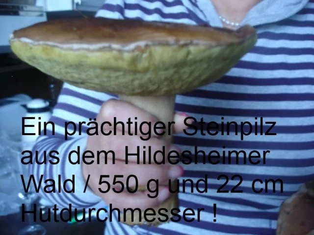 Spaghettinis mit Waldpilzsauce - Rezept - Bild Nr. 3