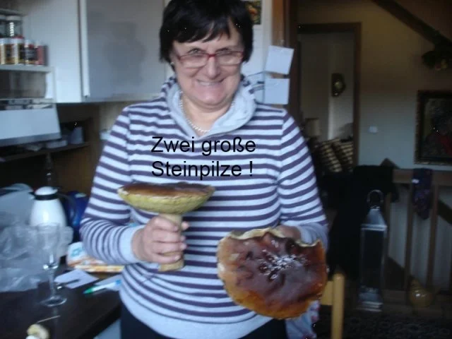 Rezept: Waldpilzomelett Bild Nr. 3 Waldpilzomelett - Rezept - Bild Nr. 3