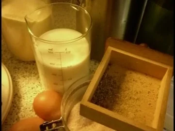 Gefüllte Polenta-Pfannkuchen - Rezept - Bild Nr. 5