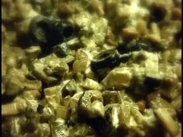 Gefüllte Polenta-Pfannkuchen - Rezept - Bild Nr. 10