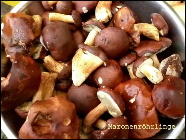 Gefüllte Polenta-Pfannkuchen - Rezept - Bild Nr. 2