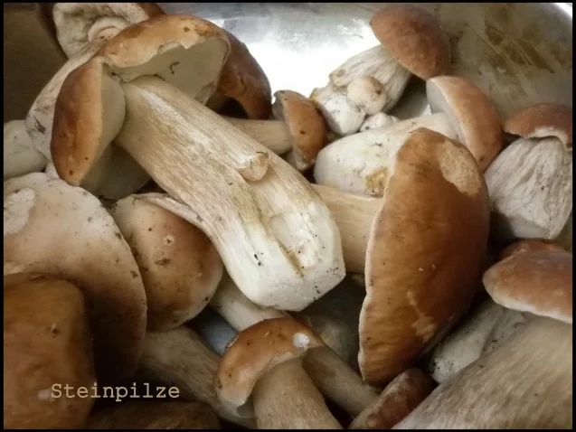 Gefüllte Polenta-Pfannkuchen - Rezept - Bild Nr. 4