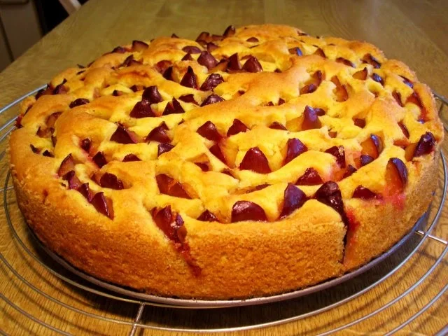 Zwetschgenkuchen "gespickt" - Rezept