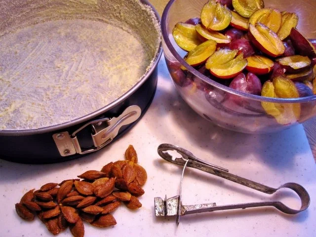 Zwetschgenkuchen "gespickt" - Rezept - Bild Nr. 2