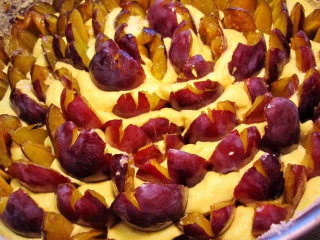 Zwetschgenkuchen "gespickt" - Rezept - Bild Nr. 5