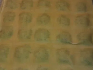 Minimaultaschen mit Ricotta-Spinatfüllung und Salbeibutter - Rezept - Bild Nr. 4