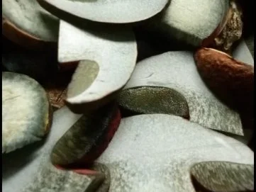 Petersilien-Kartoffelpüree mit Spinat, Salzmandeln  und gebratenen Hexen - Rezept - Bild Nr. 3