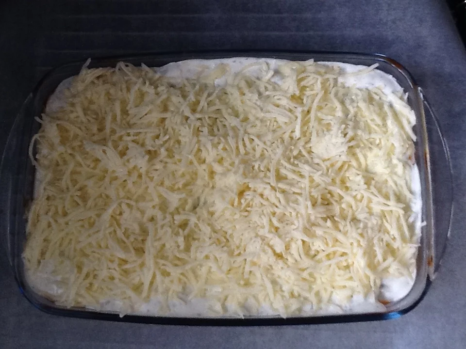Rezept: Lasagne wie wir sie mögen Bild Nr. 4951 Lasagne wie wir sie mögen - Rezept - Bild Nr. 4951