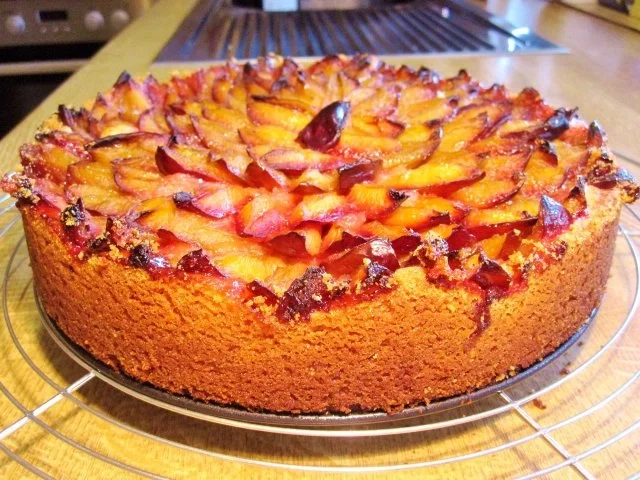 Nusskuchen mit Pflaumen - Rezept - Bild Nr. 5