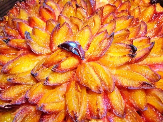Nusskuchen mit Pflaumen - Rezept - Bild Nr. 6
