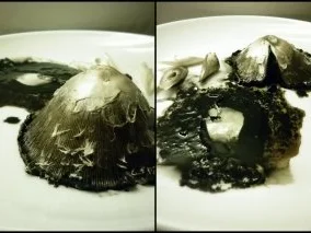 Schwarze Tagliatelle mit Perlpilzen - Rezept - Bild Nr. 3