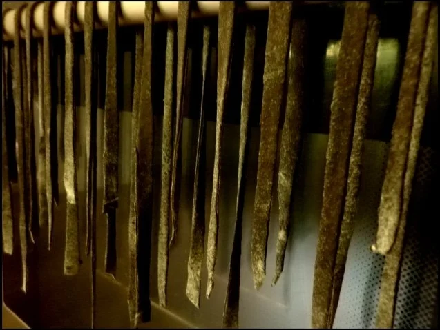 Schwarze Tagliatelle mit Perlpilzen - Rezept - Bild Nr. 5