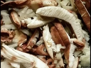 Schwarze Tagliatelle mit Perlpilzen - Rezept - Bild Nr. 7