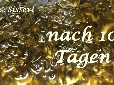 Sisserl's - * Waldmeistersirup * - Rezept - Bild Nr. 8