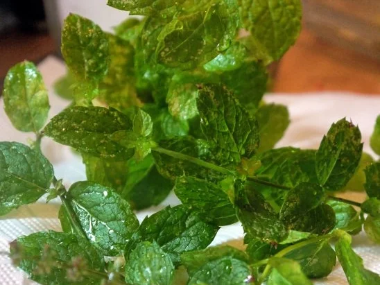 Rezept: Schnittiger Hugo Bild Nr. 10 Schnittiger Hugo - Rezept - Bild Nr. 10