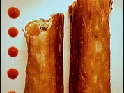 Steinpilz-Zigarren - Rezept