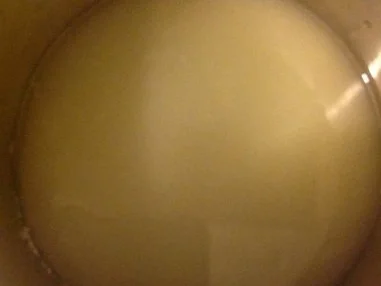 Zitronentorte - Rezept - Bild Nr. 14