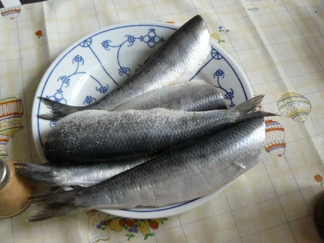 Rezept: Eingelegte Bratheringe Bild Nr. 2 Eingelegte Bratheringe - Rezept - Bild Nr. 2