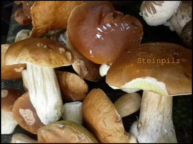 Steinpilz-Birnen-Pizza - Rezept - Bild Nr. 4