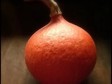 Kürbis-Mousse mit Kürbis-Florentiner - Rezept - Bild Nr. 2