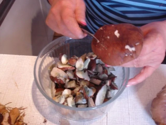 Waldpilz ( Maronen ) Lasagne - Rezept - Bild Nr. 4