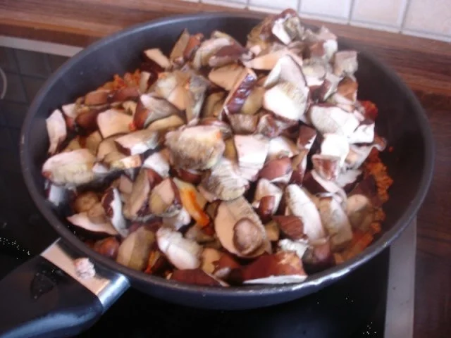 Waldpilz ( Maronen ) Lasagne - Rezept - Bild Nr. 10