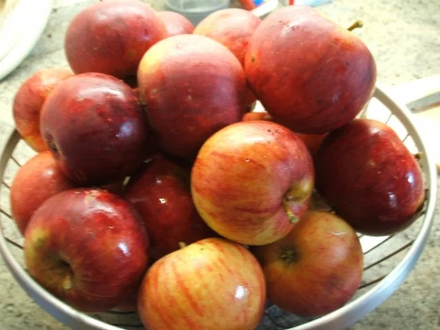 Rezept: Auflauf: Apfelnudeln unter der Haube Bild Nr. 3 Auflauf: Apfelnudeln unter der Haube - Rezept - Bild Nr. 3