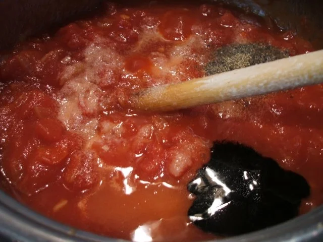 Geflügel: Tomaten-Hähnchenschnitzel - Rezept - Bild Nr. 6