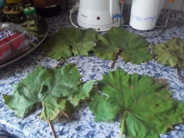 Kräutertee nach Hexenart - Rezept - Bild Nr. 2