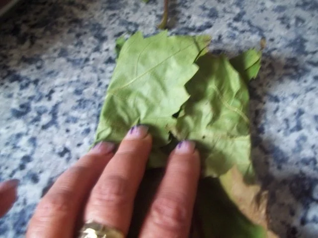 Kräutertee nach Hexenart - Rezept - Bild Nr. 6