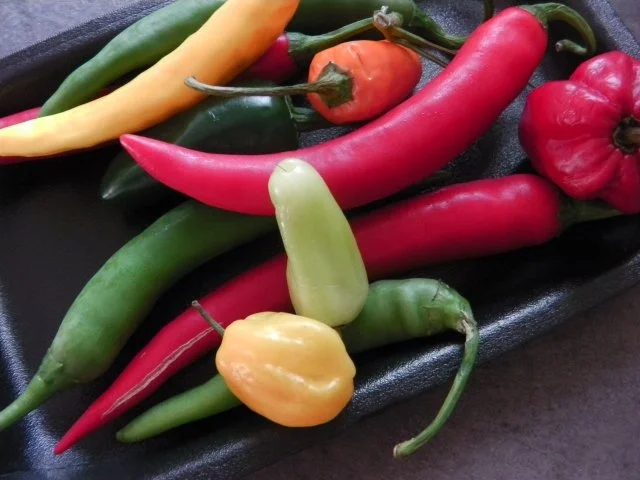 Rezept: scharfe Chilisoße: HOT SAUCE Bild Nr. 3 scharfe Chilisoße: HOT SAUCE - Rezept - Bild Nr. 3