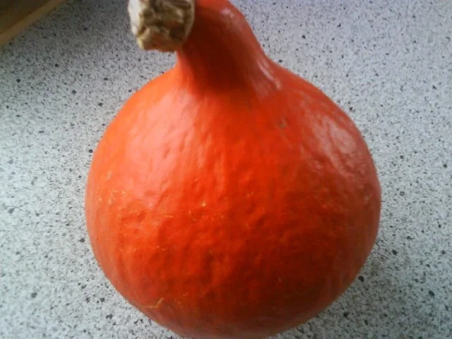 Rezept: Kürbis-Hack-Auflauf Kürbis-Hack-Auflauf - Rezept