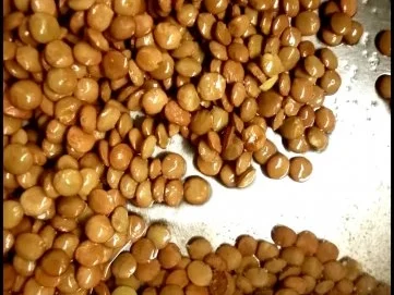 Variationen von Steinpilz-Linsen und Kartoffeln - Rezept - Bild Nr. 2