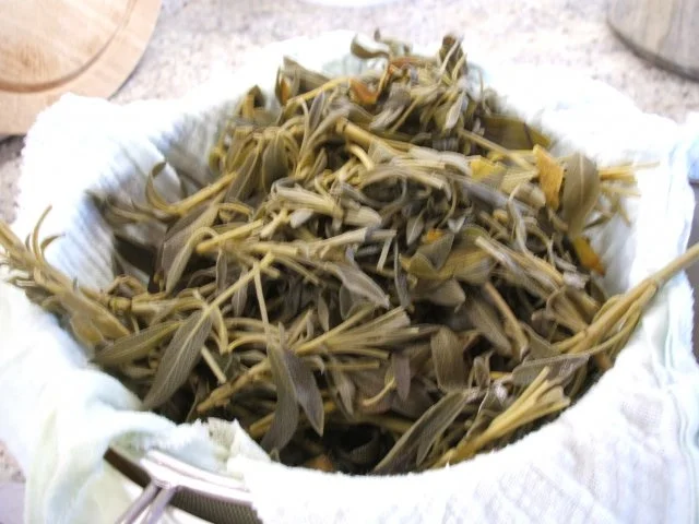 Vorrat: Salbeisirup - Rezept - Bild Nr. 4