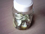 Zucchini eingelegt - Rezept