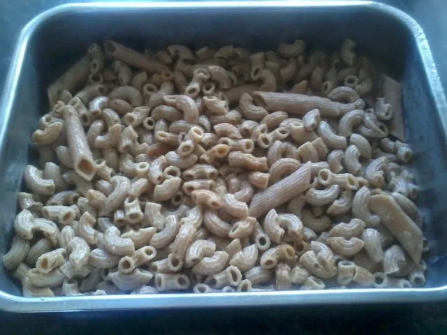 Zander-Nudelauflauf mit Gemüse und Steinpilzen - Rezept - Bild Nr. 7