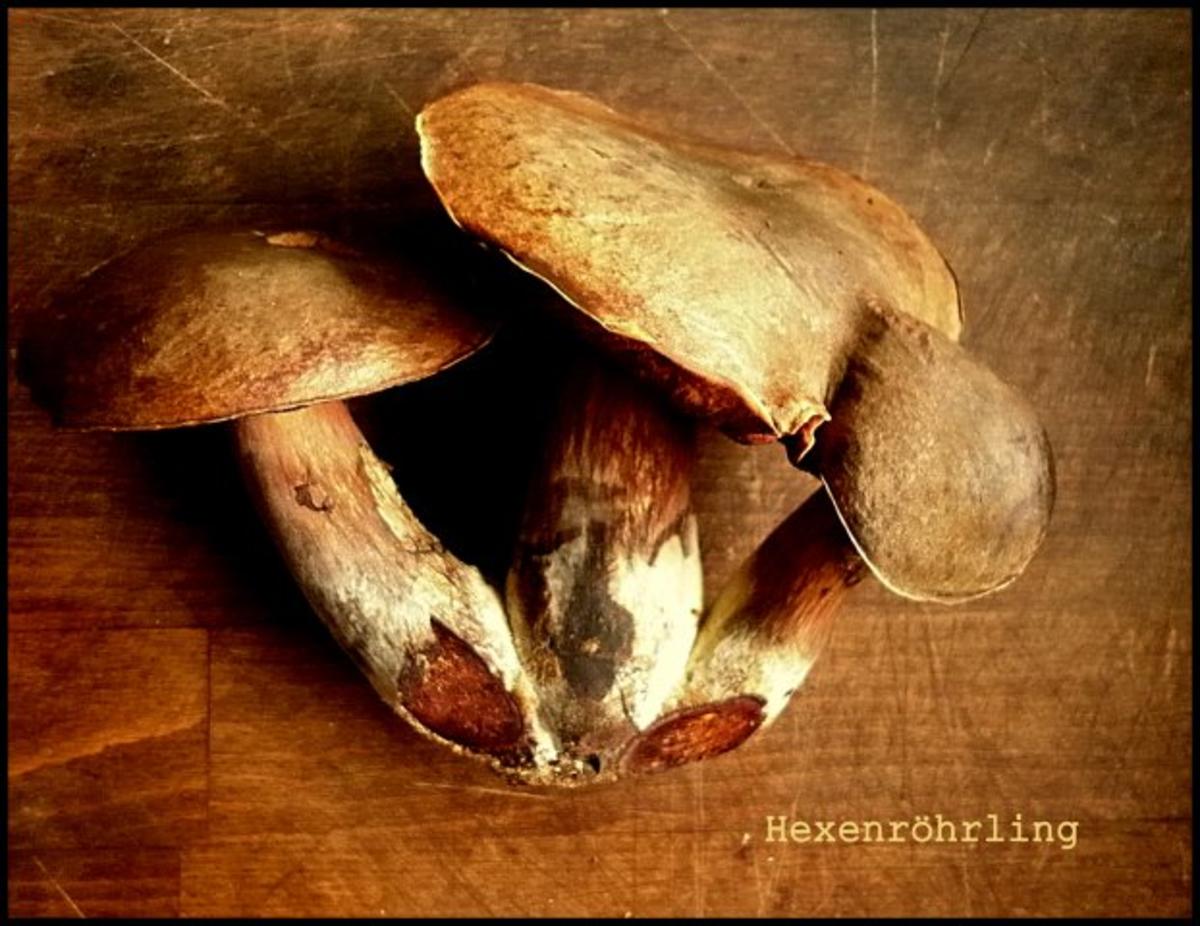 Kartoffelpüree mit Blauschimmelkäse und Walnüssen, dazu Parasolpilz-Schnitzel und Hexen - Rezept - Bild Nr. 2