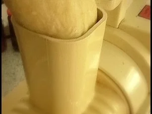 Rezept: selbstgemachte Spaghetti mit scharfen Pilzen Bild Nr. 5 selbstgemachte Spaghetti mit scharfen Pilzen - Rezept - Bild Nr. 5