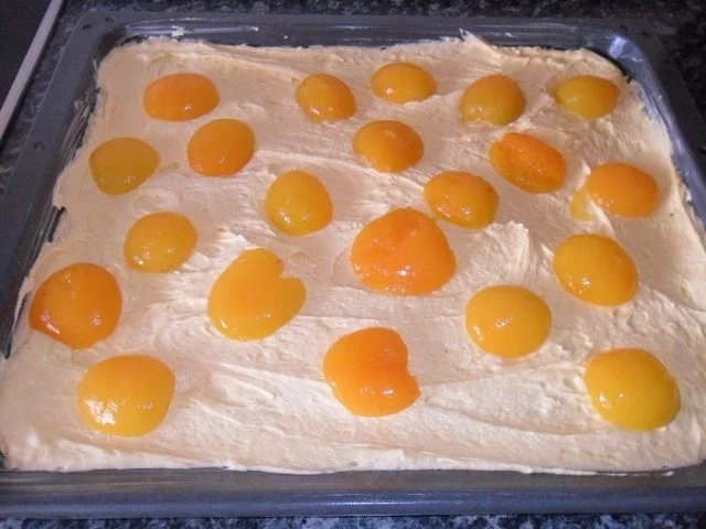 Aprikosen-Rhabarber-Kuchen - Rezept - Bild Nr. 7