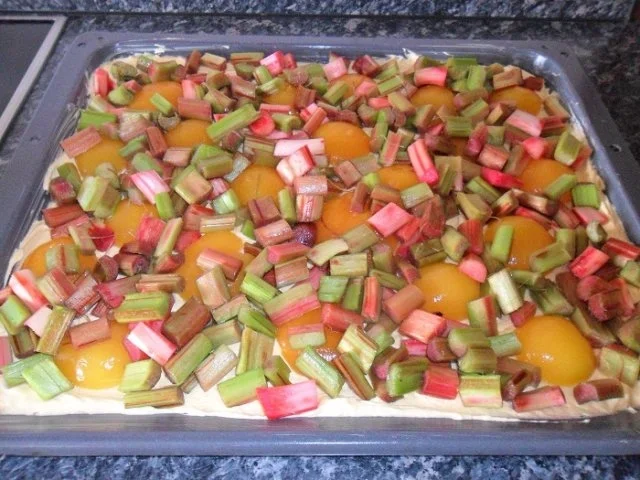 Aprikosen-Rhabarber-Kuchen - Rezept - Bild Nr. 8