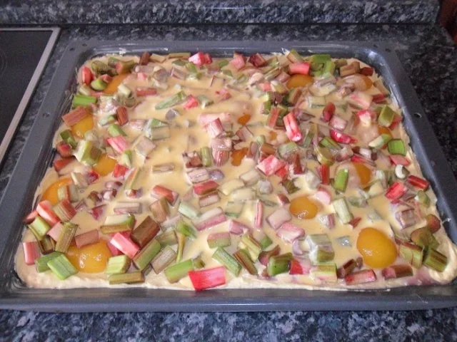 Aprikosen-Rhabarber-Kuchen - Rezept - Bild Nr. 9