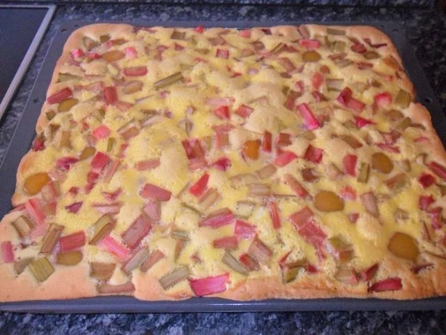 Aprikosen-Rhabarber-Kuchen - Rezept - Bild Nr. 10