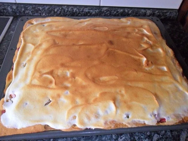 Aprikosen-Rhabarber-Kuchen - Rezept