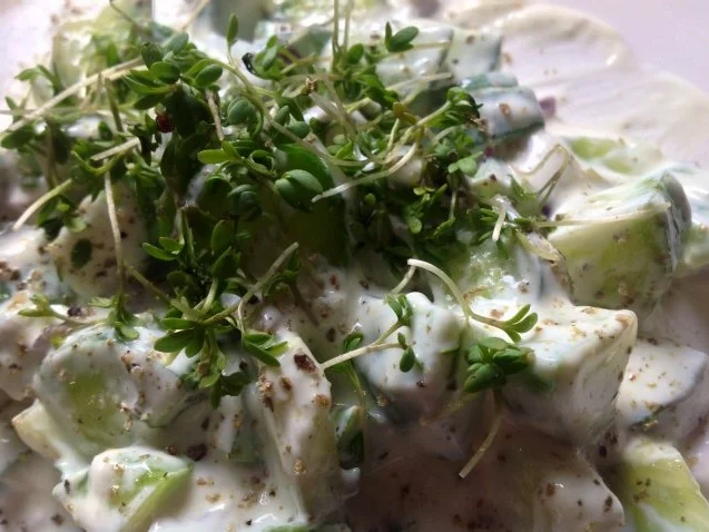 Gurkensalat mit Meerrettich und Kresse - Rezept
