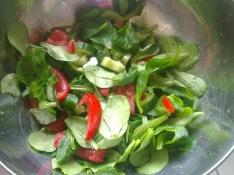 Rezept: Knuspriger Zander an einem fruchtigem Feldsalat mit Honig-Senf-Dressing Bild Nr. 7 Knuspriger Zander an einem fruchtigem Feldsalat mit Honig-Senf-Dressing - Rezept - Bild Nr. 7