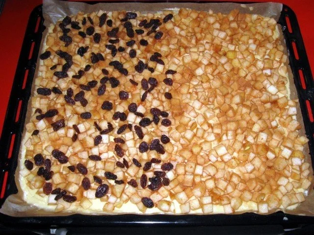 Rezept: Apfel - Streusel Kuchen Bild Nr. 9 Apfel - Streusel Kuchen - Rezept - Bild Nr. 9