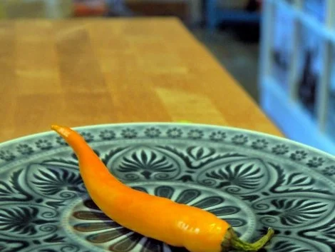 Spaghetti mit Oliven-Walnuss-Sauce - Rezept - Bild Nr. 4