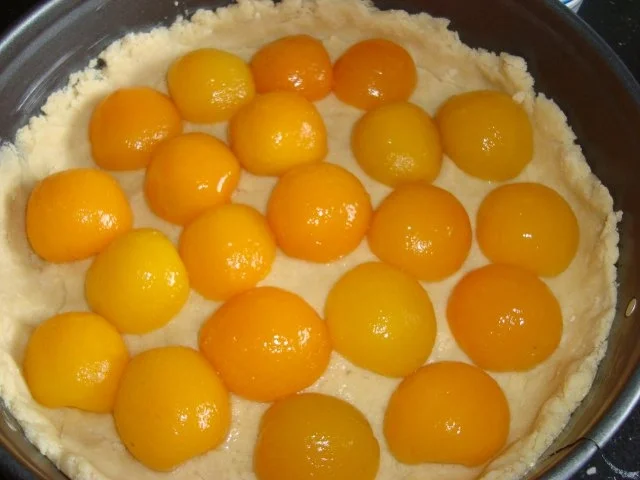 Rezept: Aprikosen-Käsekuchen Bild Nr. 6 Aprikosen-Käsekuchen - Rezept - Bild Nr. 6