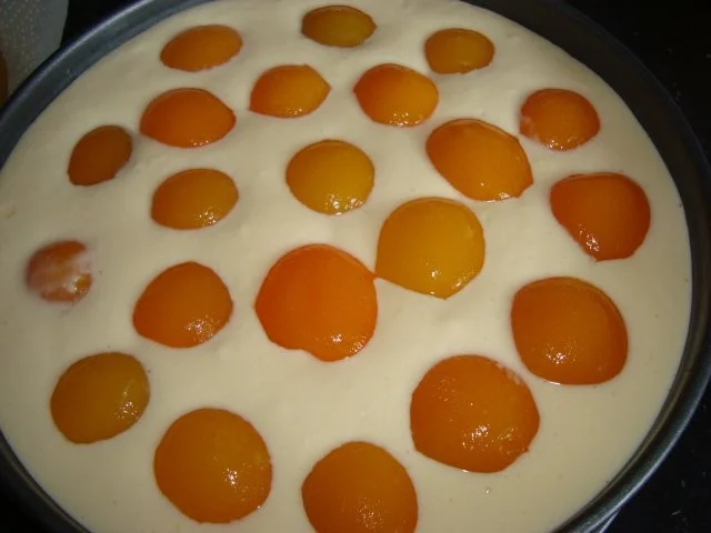 Rezept: Aprikosen-Käsekuchen Bild Nr. 8 Aprikosen-Käsekuchen - Rezept - Bild Nr. 8